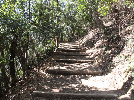 20160226hike (17)